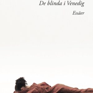 De blinda i Venedig av Karin Brygger.