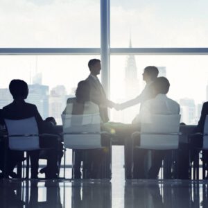 De gränslösa av Marcus Larsson och Åsa Plesner.