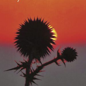 My Dreams av Ghirmay Yohannes.