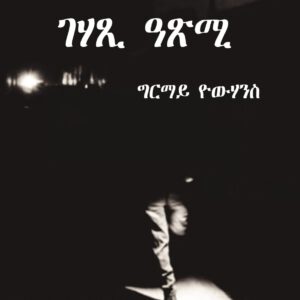 [Översvämningslinjen] av Ghirmay Yohannes.