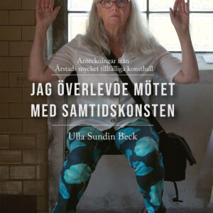 Jag överlevde mötet med samtidskonsten